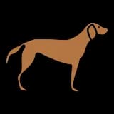 Pictograma de perro